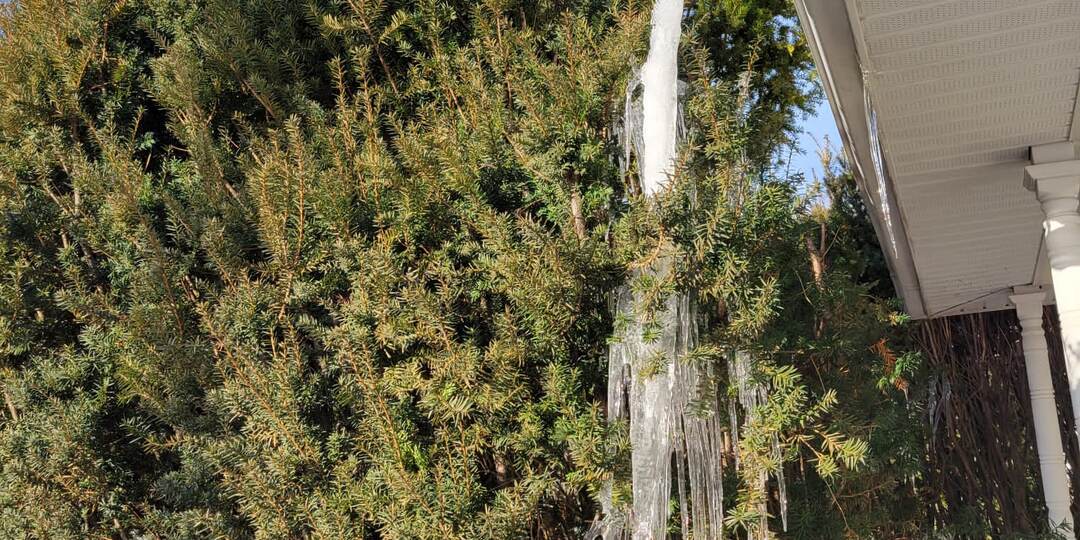 Даже Флорида переживает зиму...