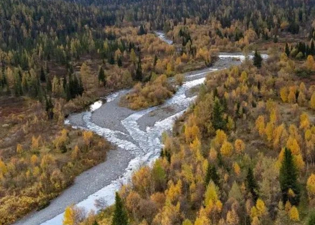 Республика Коми. Источник: fontanka.ru