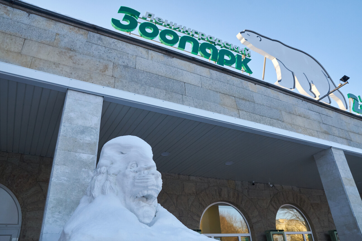 Фото: Игорь Осочников