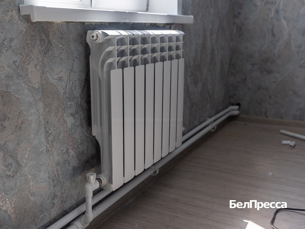     Фото: Алексей Дацковский (архив)