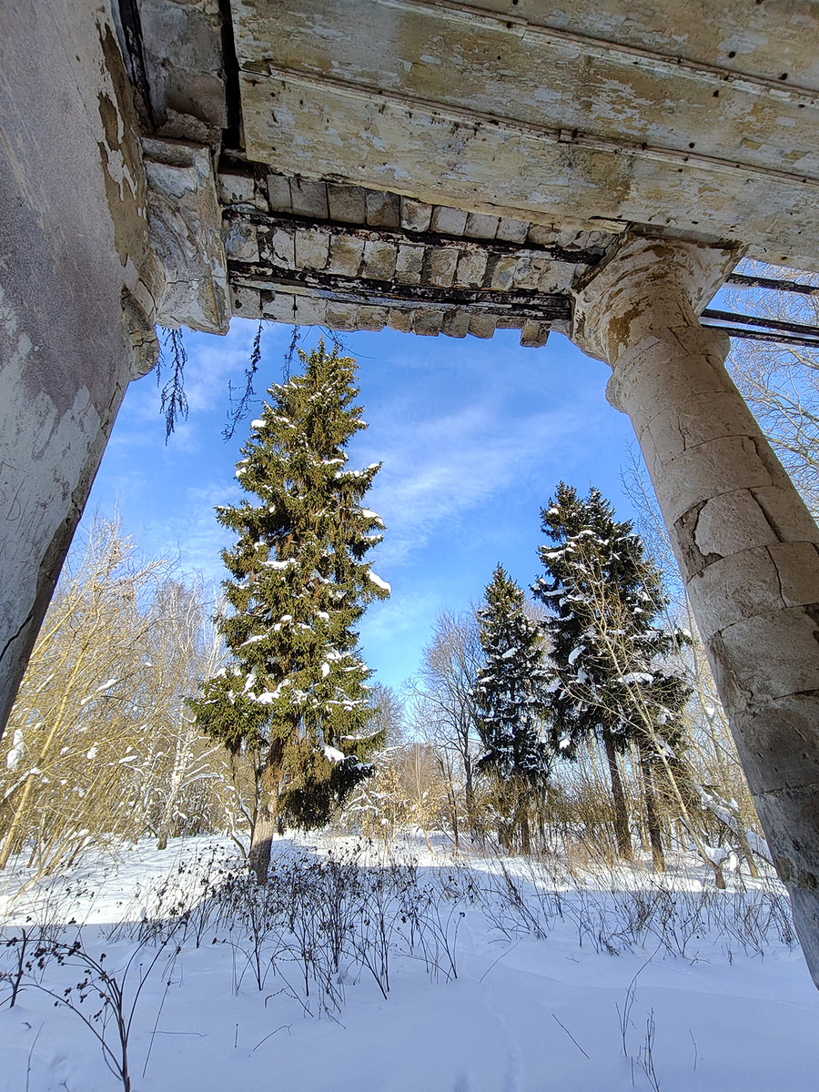 Усадьба Ляхово. 10.02.2026 год.