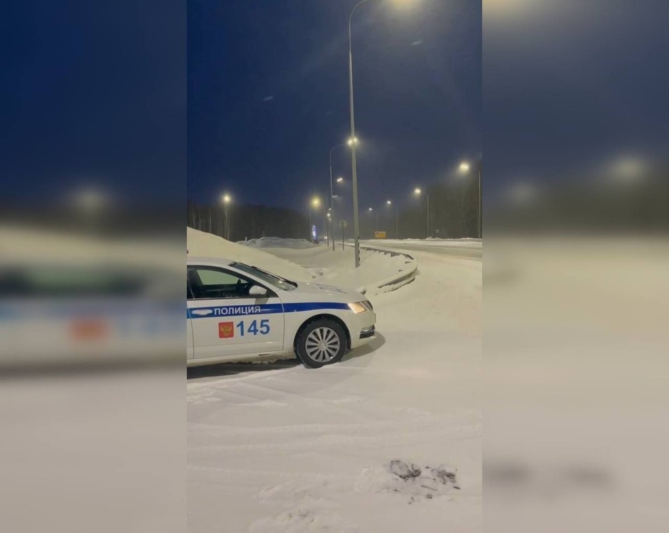    Фото: Госавтоинспекция Челябинской области