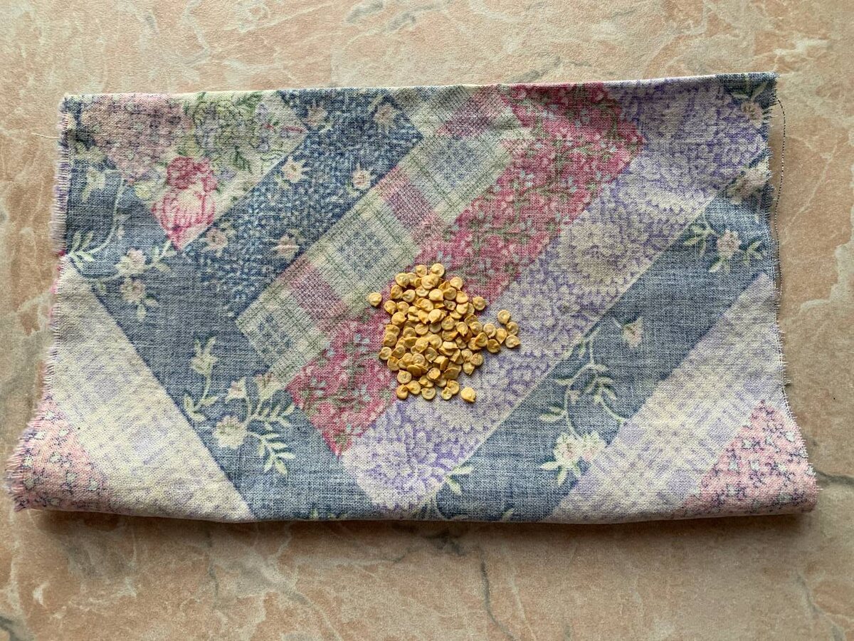 Тряпочку лучше брать крепкую, чтобы корешки в нее не врастали. Фото автора