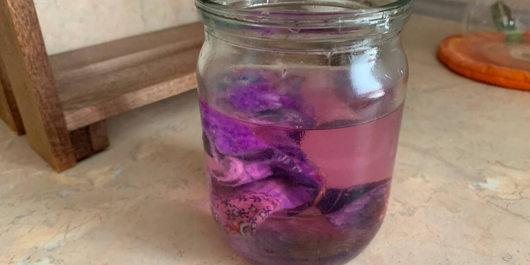 Даже старые семена прорастут через 2 дня – посев перца в воду стал моим любимым способом