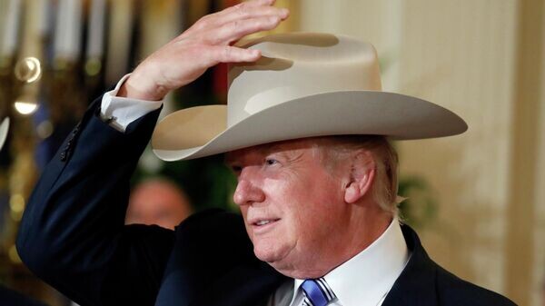    © AP / Alex Brandon