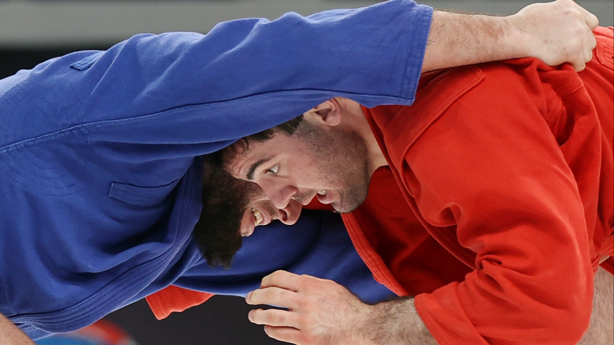    Фото: © РИА Новости/Виталий Тимкив; 5-tv.ru