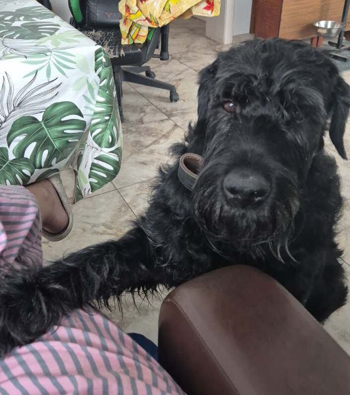 Ну дай сыррру!