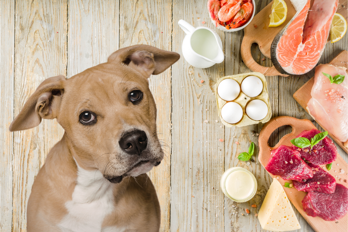 Белок в рационе 