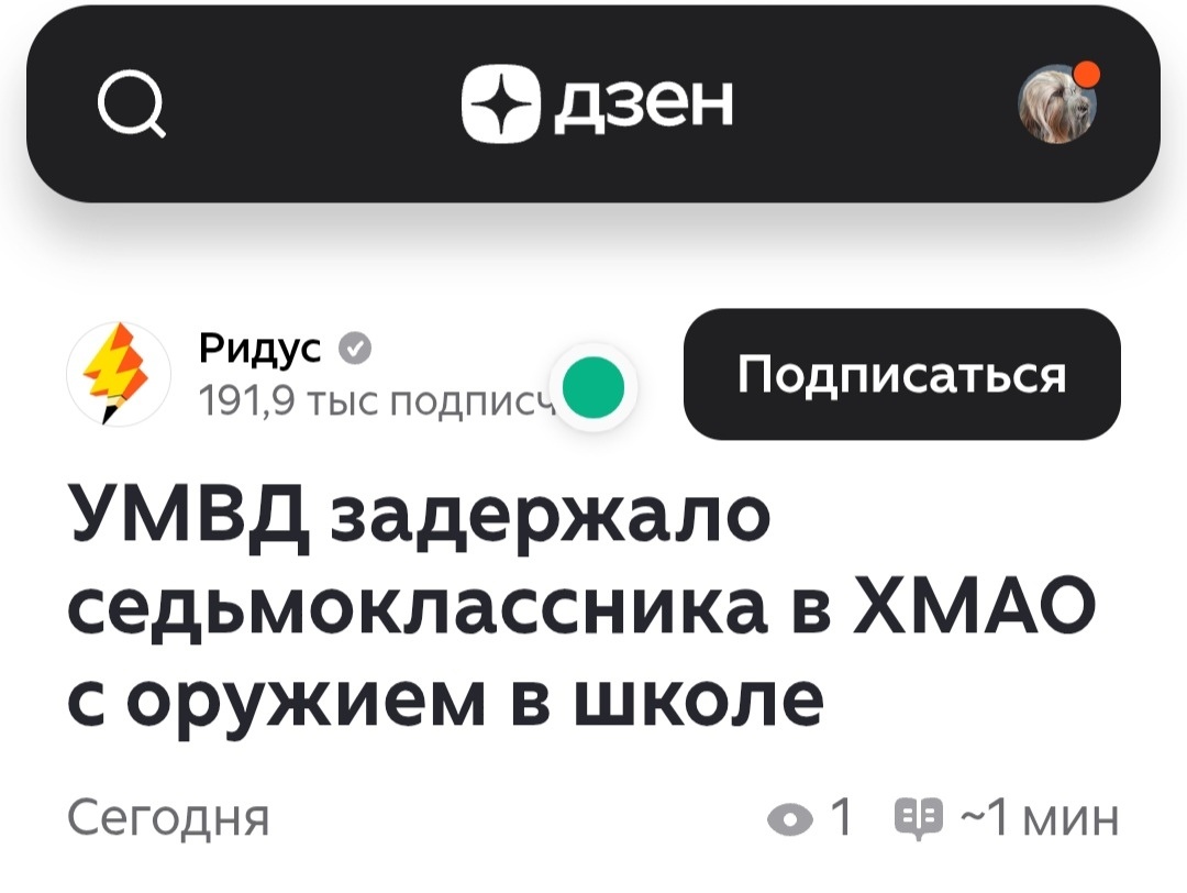 Скриншот заголовка публикации "Ридус" на Дзен