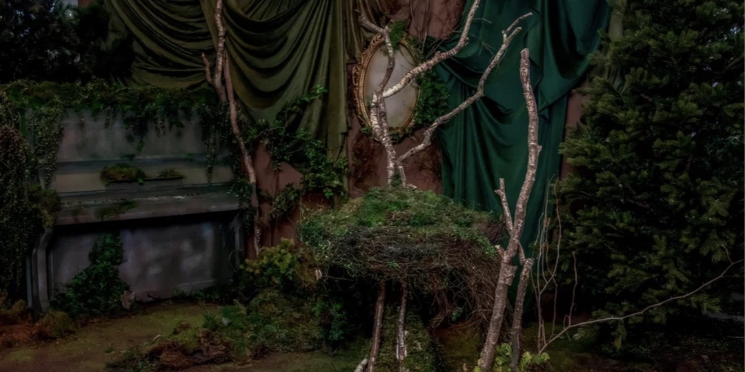 Аренда лесной локации в Москве