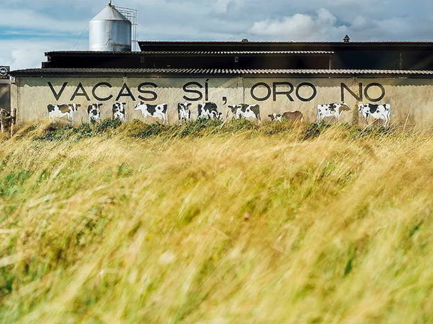 Надпись с протестом против горнорудного проекта на стене фермы Сантьяго Мендеса Гарсия в Тапиа-де-Касарьего (Коровам - да, золоту - нет). JAMES RAJOTTE