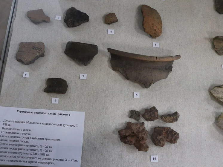     Фото: Пущинский музей экологии и краеведения