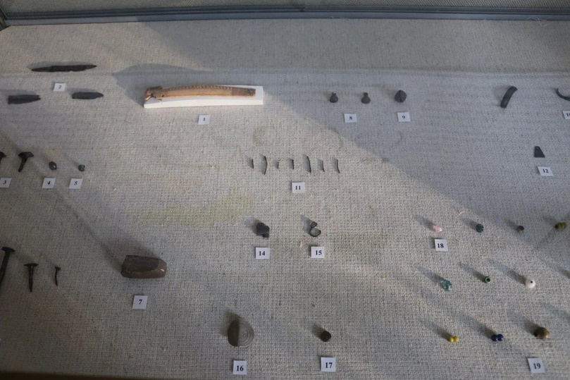     Фото: Пущинский музей экологии и краеведения