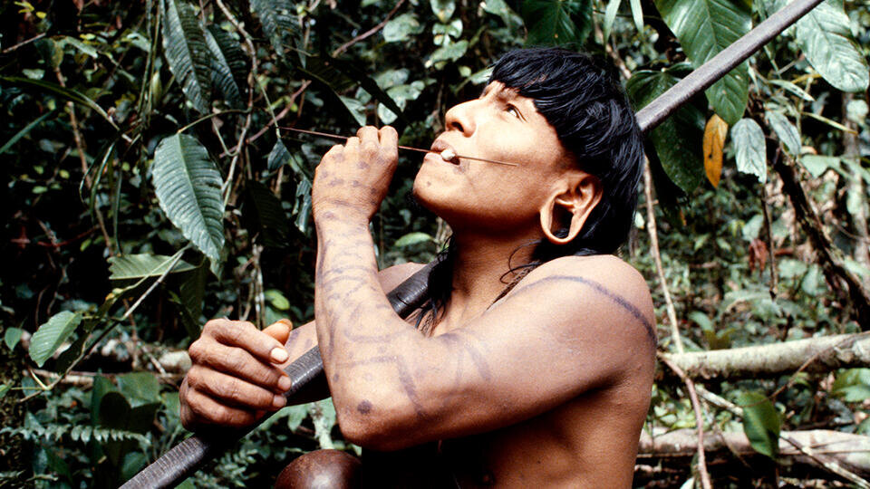 Фото: © Global Look Press/eye ubiquitous / hutchison