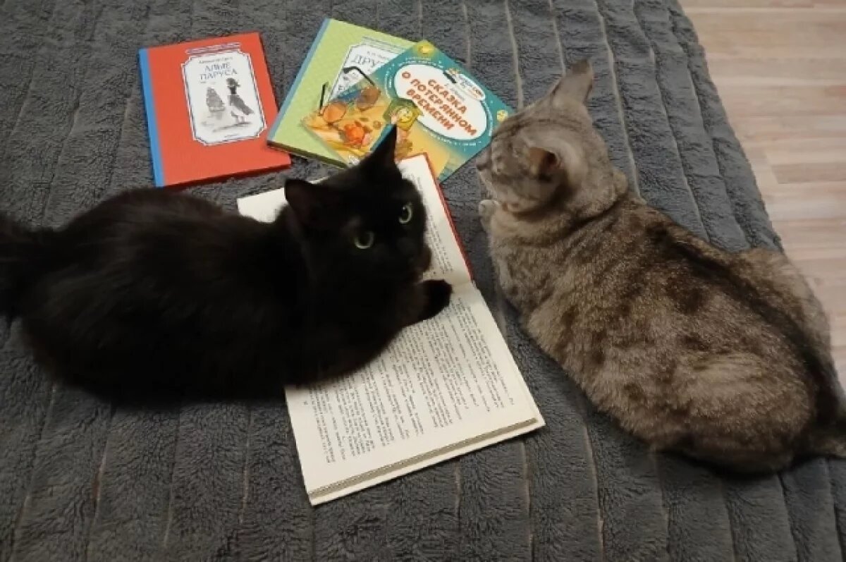    Вдохновение Вятки.