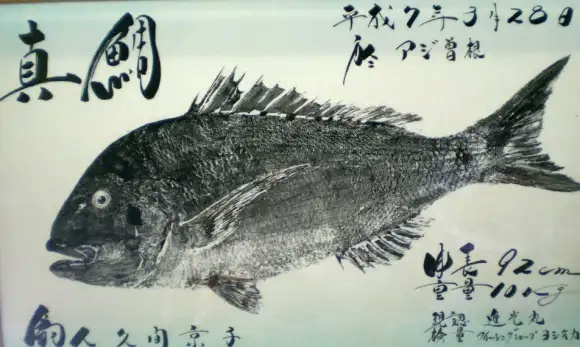 Фото из открытых источников.