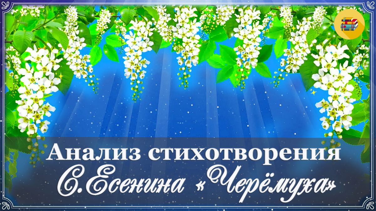 Анализ стихотворения «Черемуха» С. Есенина