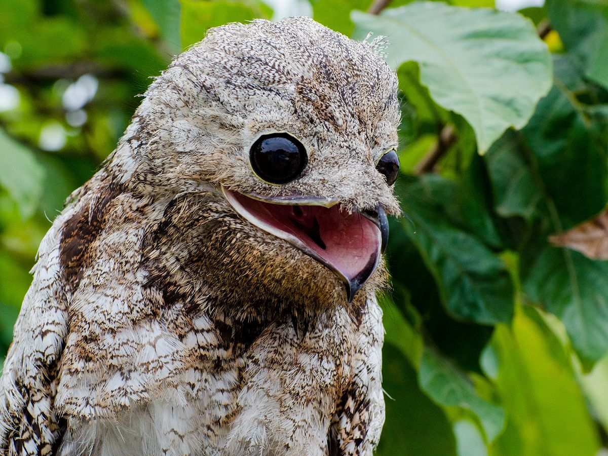 Когда выпил пятую чашку кофе за день.  