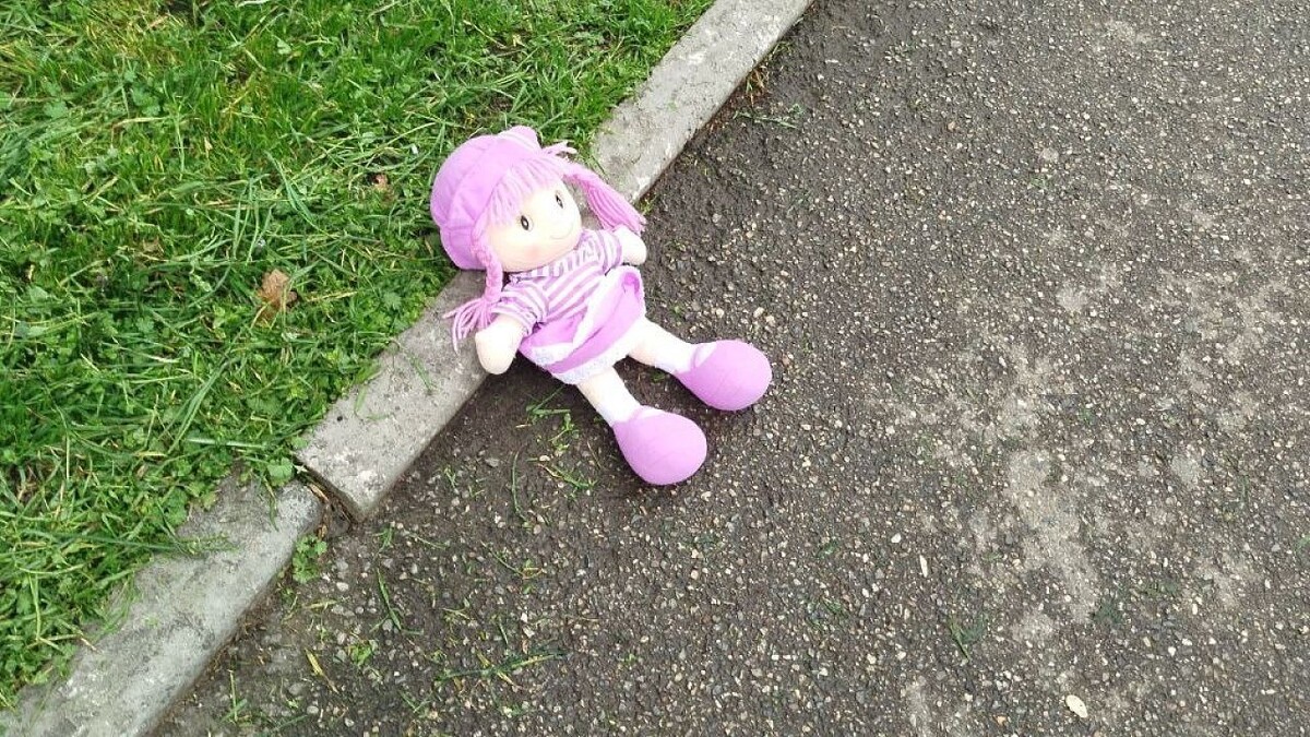    Фото: телеканал «Краснодар»