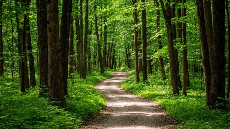 Источников вдохновения очень много