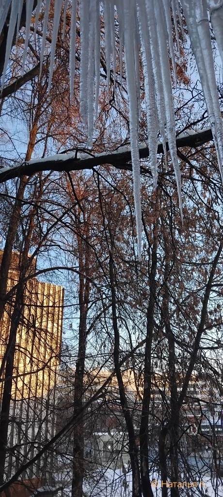 Фото автора канала. Вид из окна.