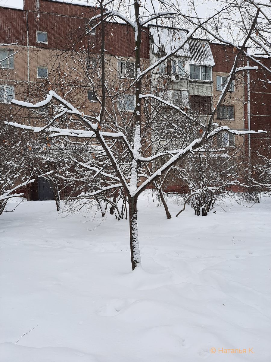 Фото автора канала. Во дворе.