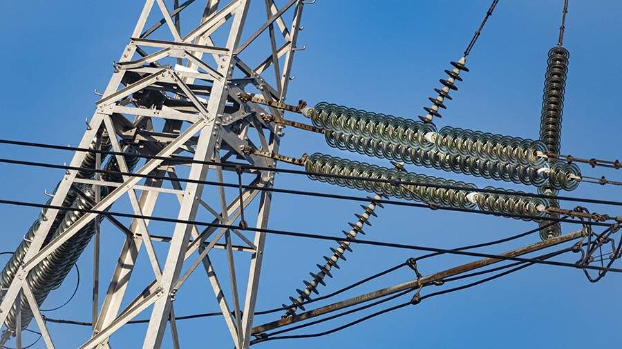    Фото: ИЗВЕСТИЯ/Константин Кокошкин