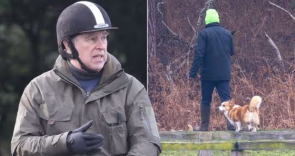 Стало известно, где и с кем живут королевские корги после переезда Эндрю