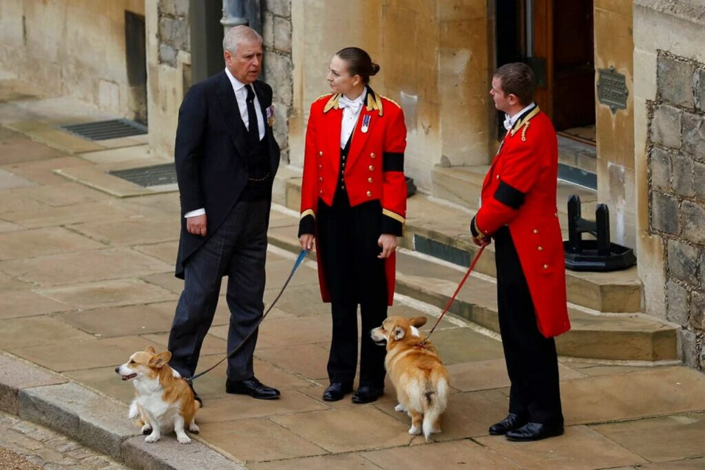 Фото Getty Images