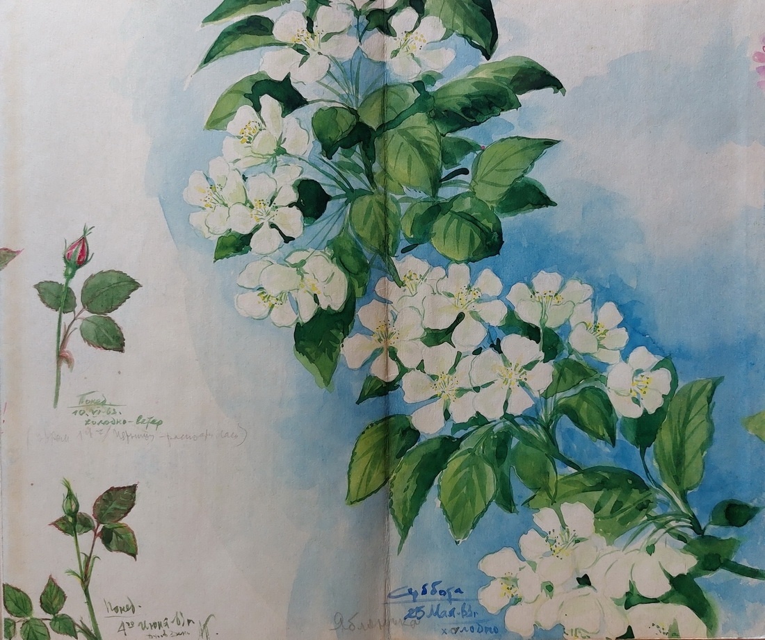 А.С. Падерин. Акварель.
Фонд Музея Б.Н. Абрамова.