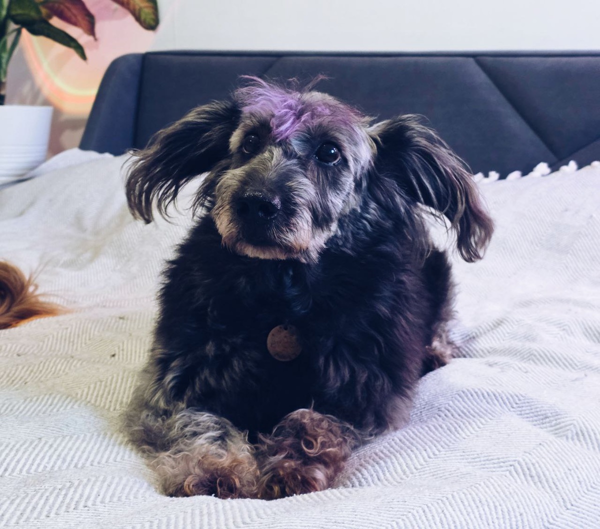 Моя прекрасная девочка