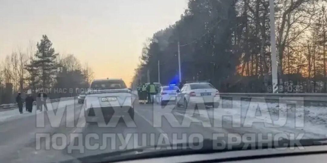 Под Брянском «уазик» врезался в цыганскую повозку, лошадь погибла