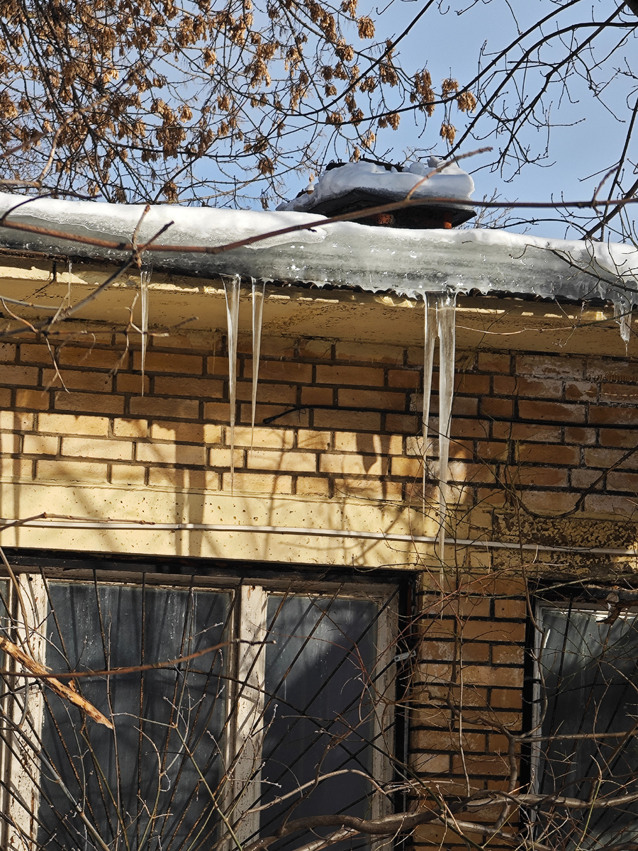 Фото автора канала 