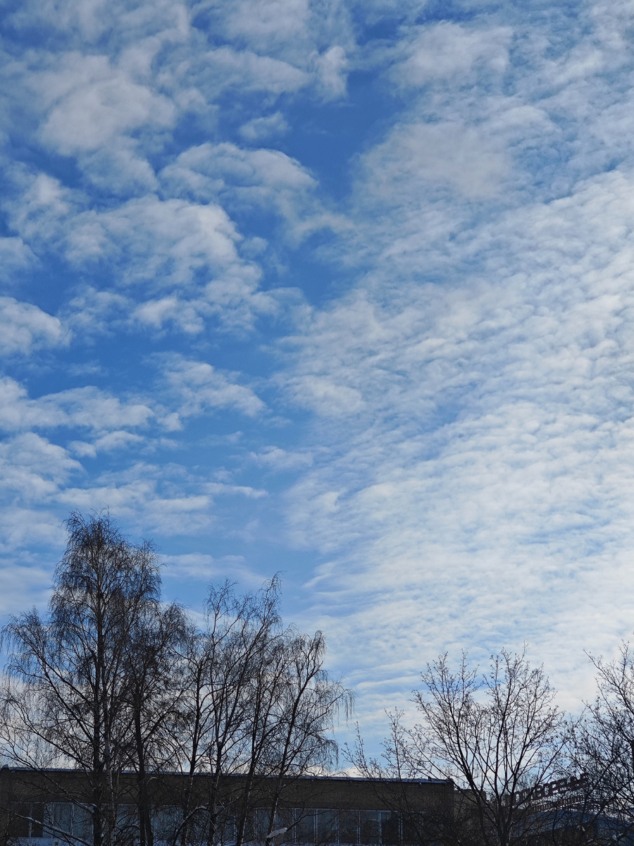 Фото автора канала 