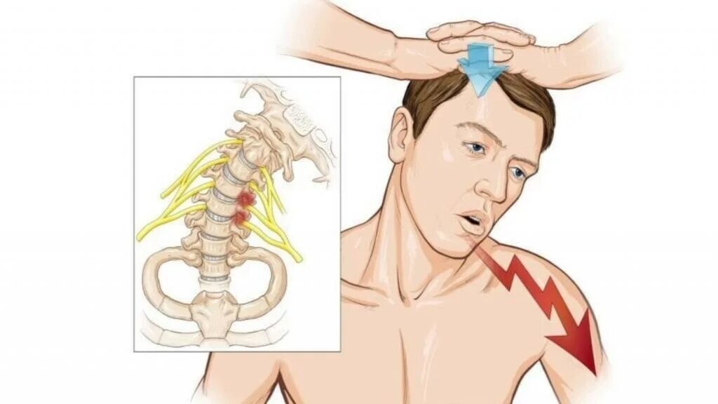 фото из открытого источника