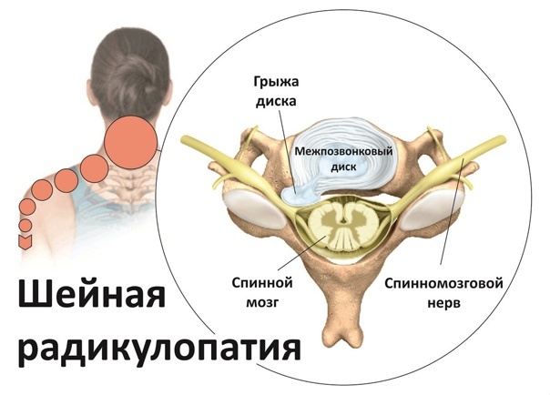 фото из открытого источника