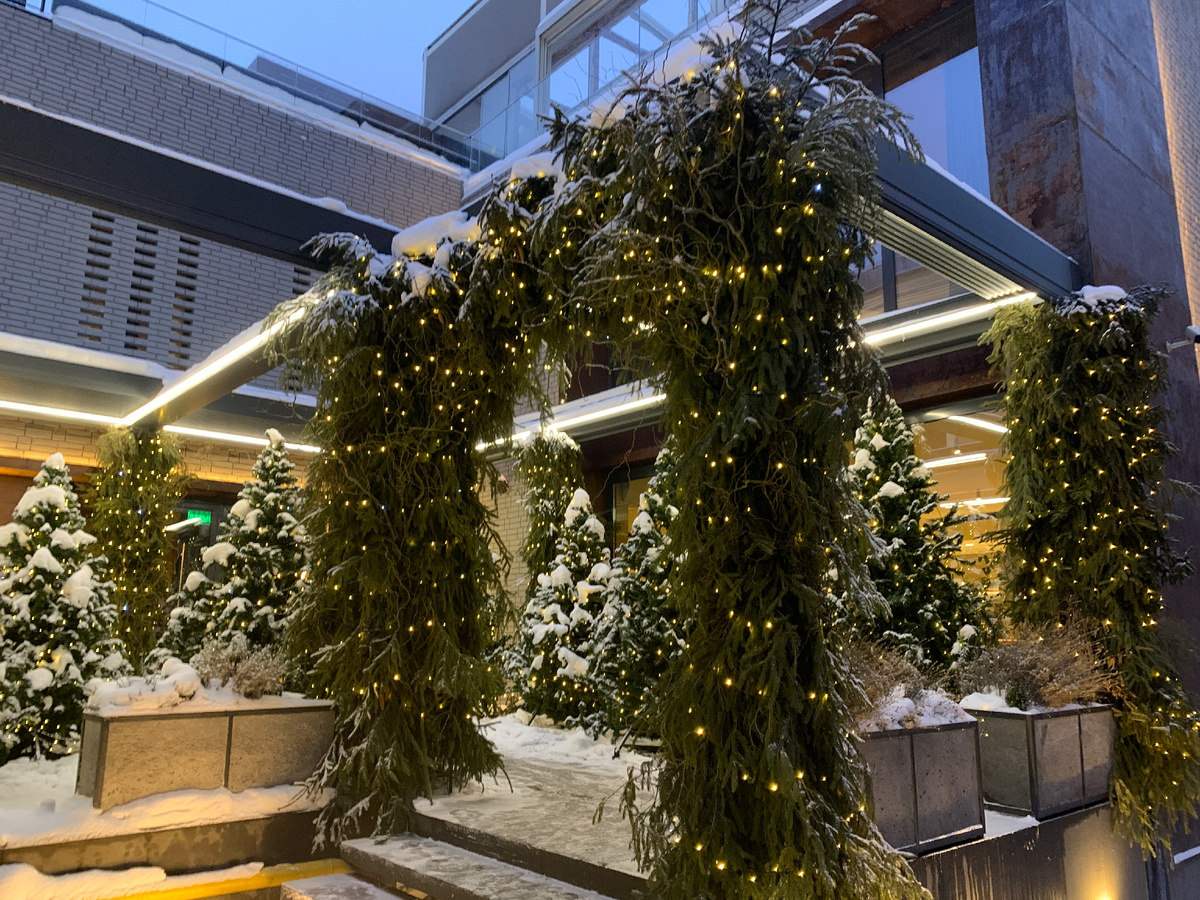 Зимняя веранда