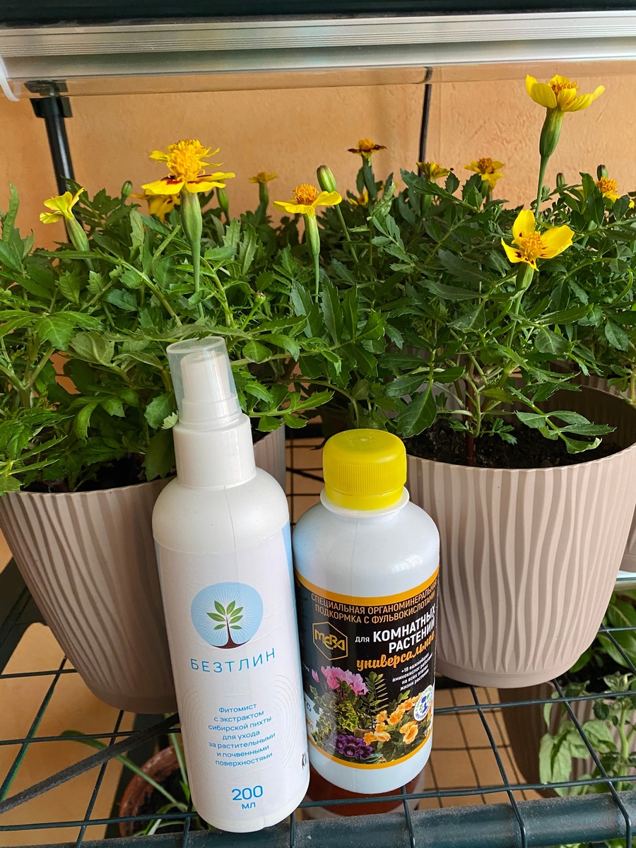 Фото Людмила Никитина