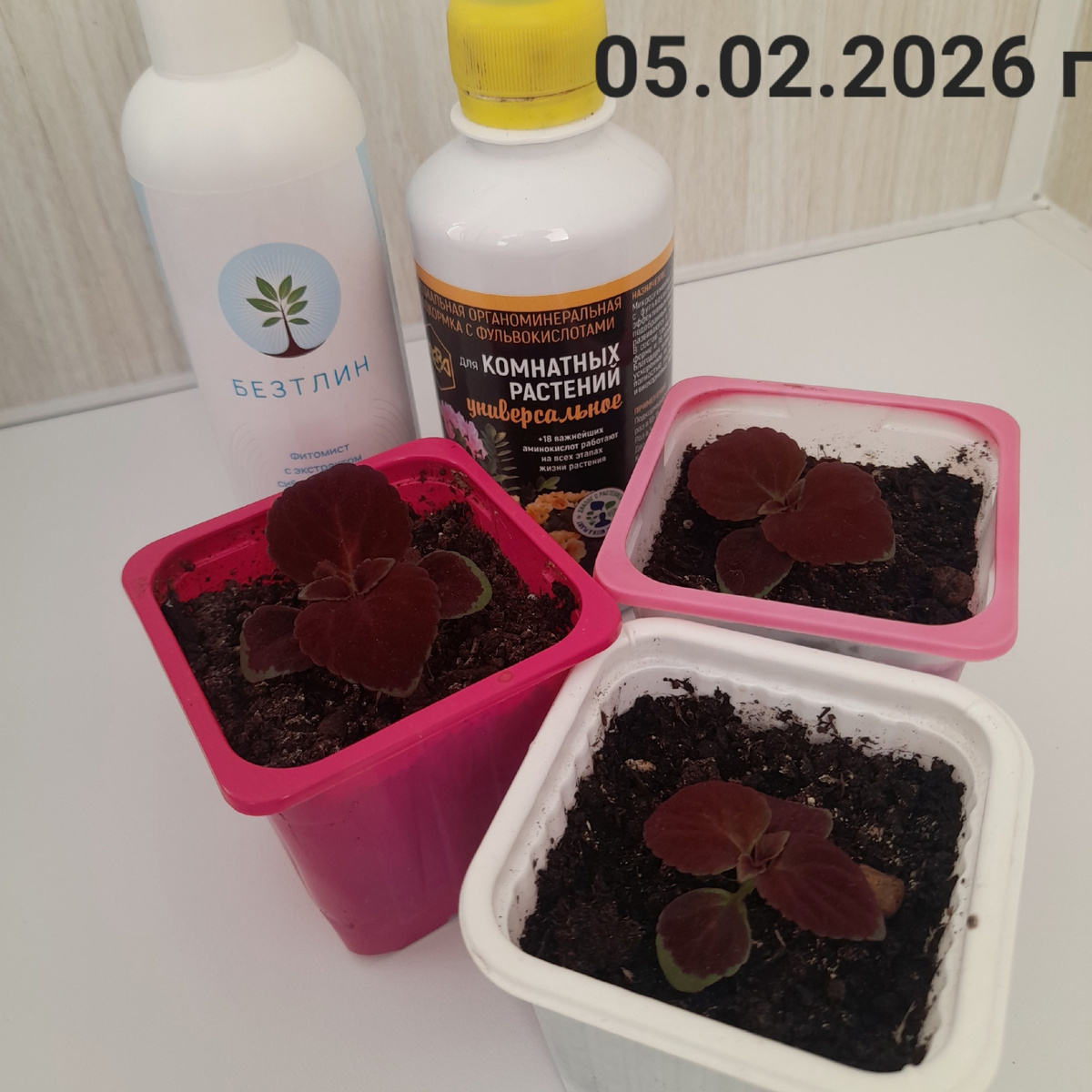 Фото Мария Григорьева Блог "Лето на Даче"