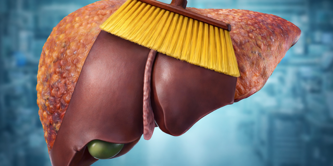 Почему печень жиреет, даже если вы не едите жирного. И копеечный продукт, который её спасёт