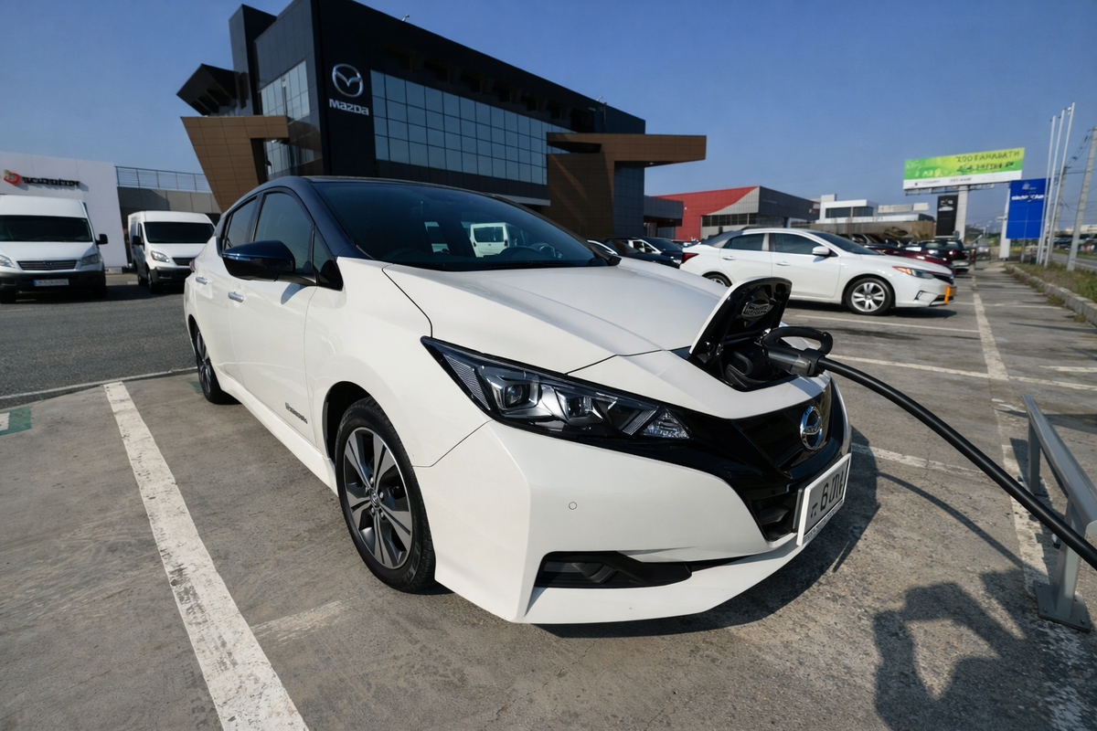 Зарядка у салона. В основном заряжаю от розетки, тк. более щадяще для АКБ. 