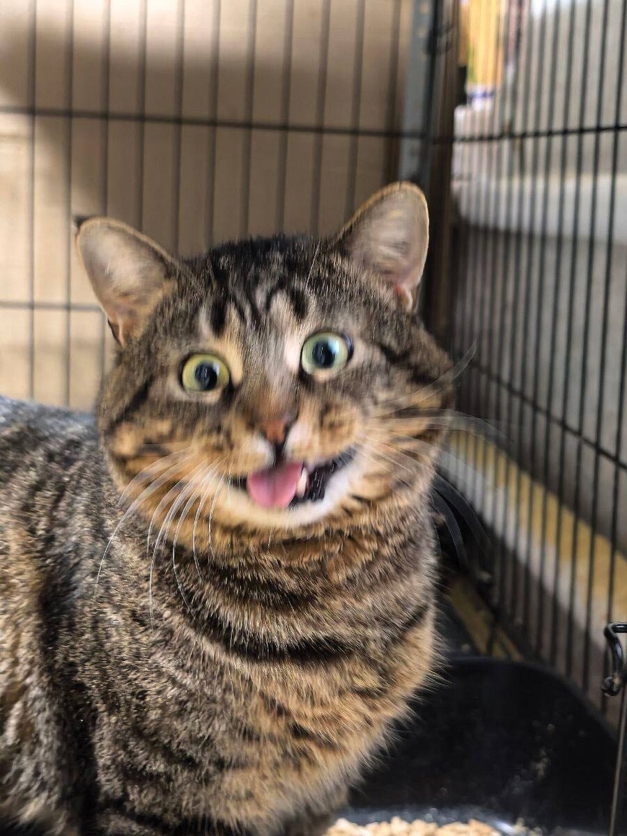 У нас бывает весело