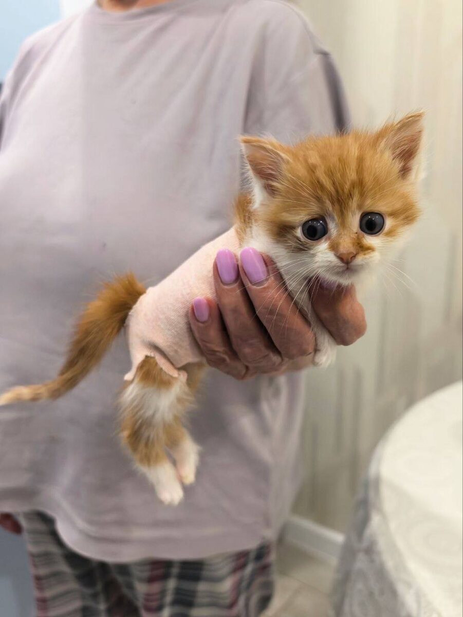 Смешно и грустно одновременно