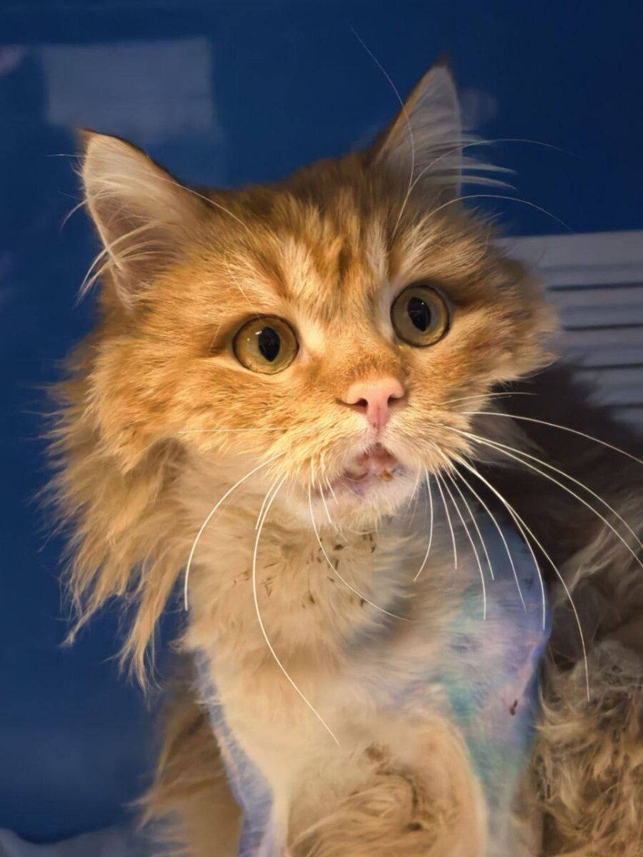 Грандиозно