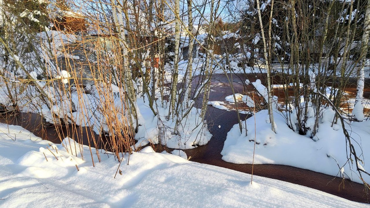 Стала видна протока - мой вариант  «лабиринтового пруда» для разведения рыбы.