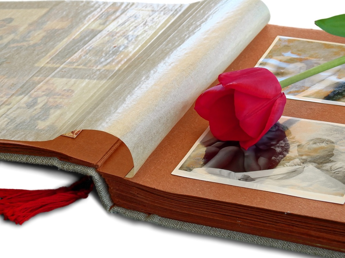   Фото: по лицензии CC0 Pxhere.com