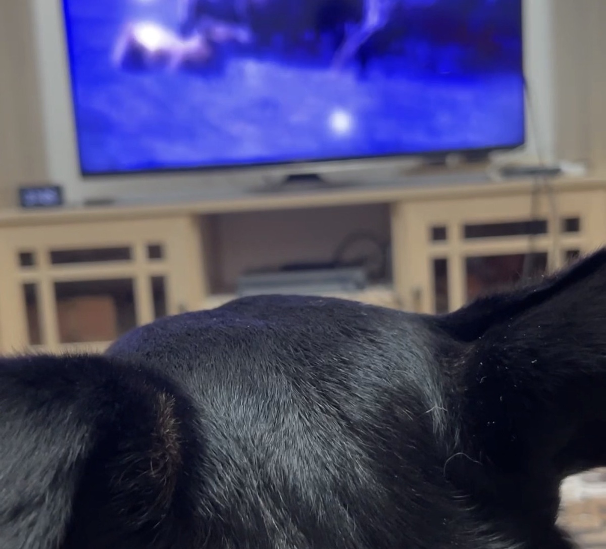 Это я сижу перед телевизором. Но... Смотрю ли я его?