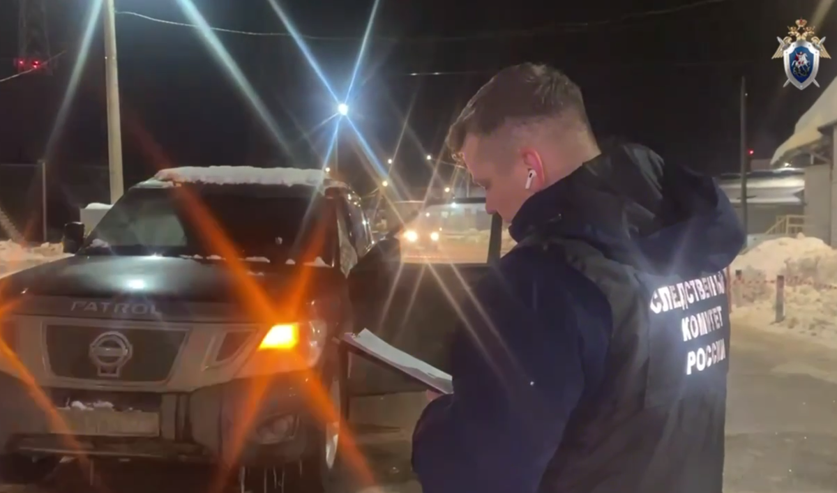     / Источник: © ГСУ СК России по Московской области