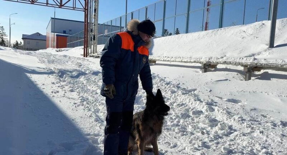    Сахалинские кинологи тренируют собак даже зимой. ГУ МЧС России по Сахалинской области
