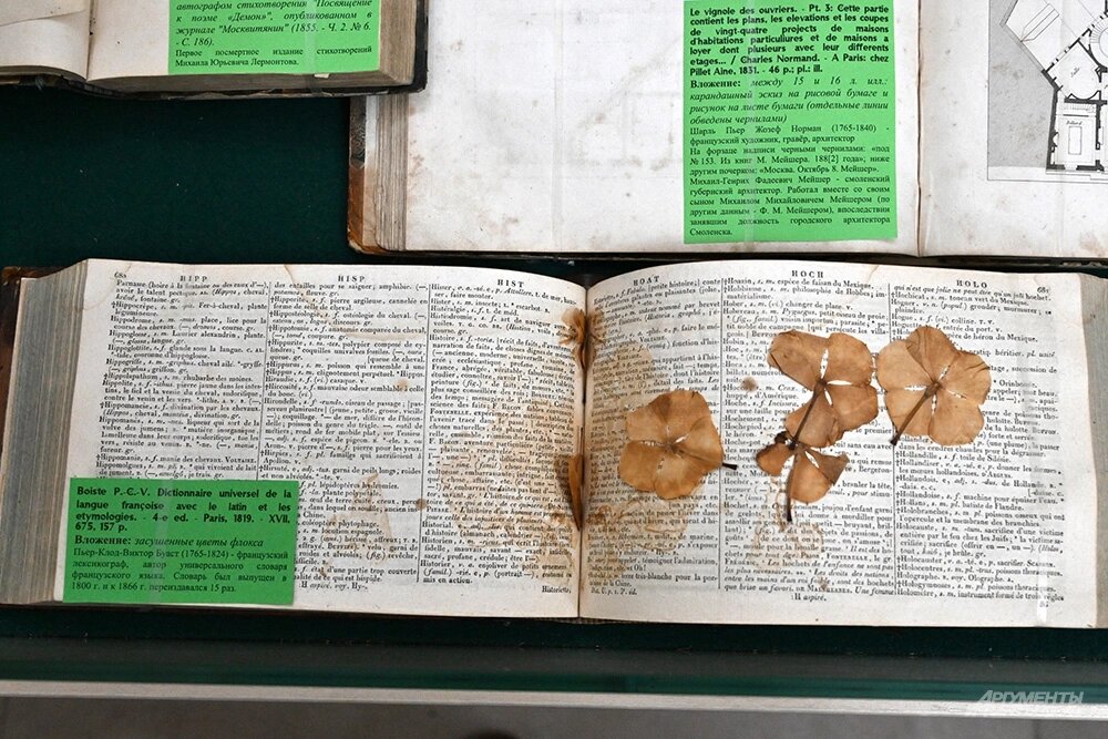    Засушенные цветки флокса были вложены в словарь французского языка, выпущенный в 1819 году. Фото: АиФ/ Эдуард Кудрявицкий